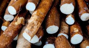 GHANAGOSSIPS foods that raise the likelihood of conceiving twins